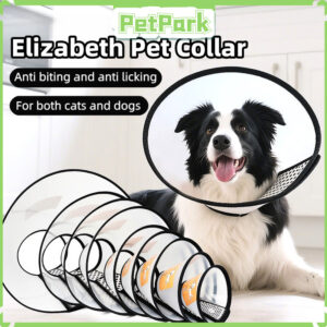 Adakah E-Collar Kucing Sesuai untuk Haiwan Anda? Semak Saiznya