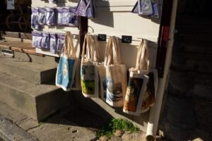 Beg Tote Canvas: Cara Memilih Mengikut Kegunaan dan Bajet