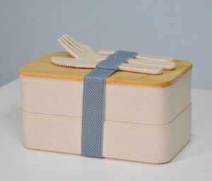 Bekas Bekal Anak: Beza Plastik, Keluli Tahan Karat dan Kaca
