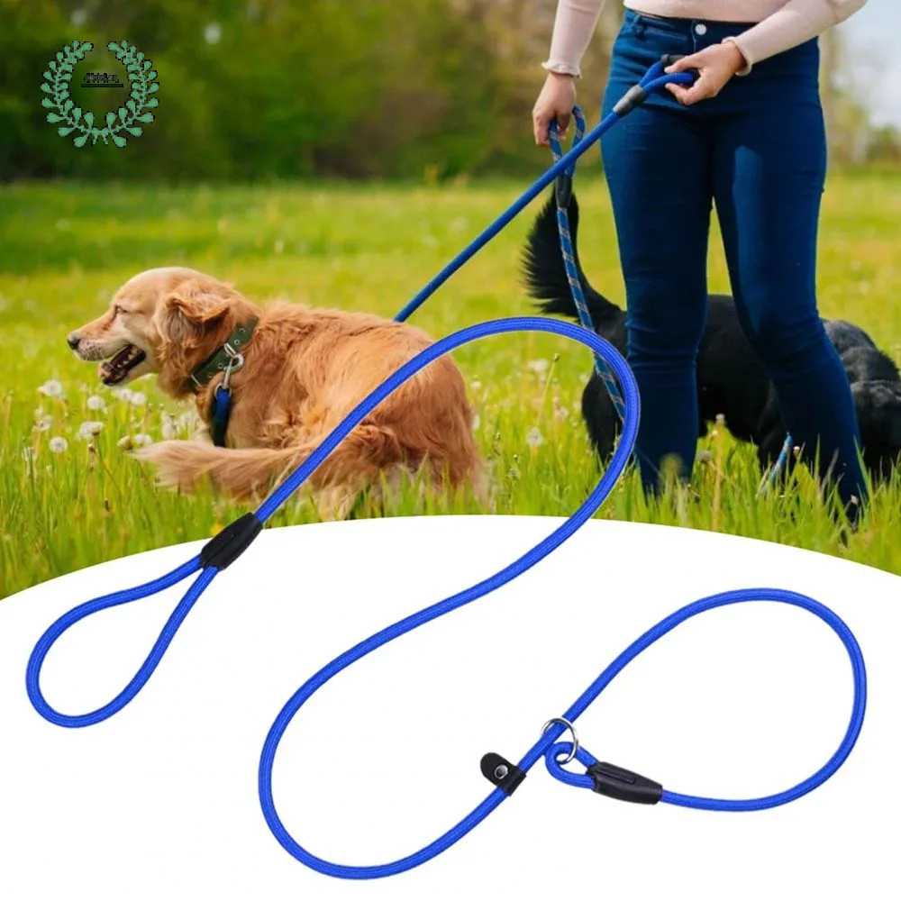 Cara Memilih P Leash yang Sesuai untuk Anjing Besar