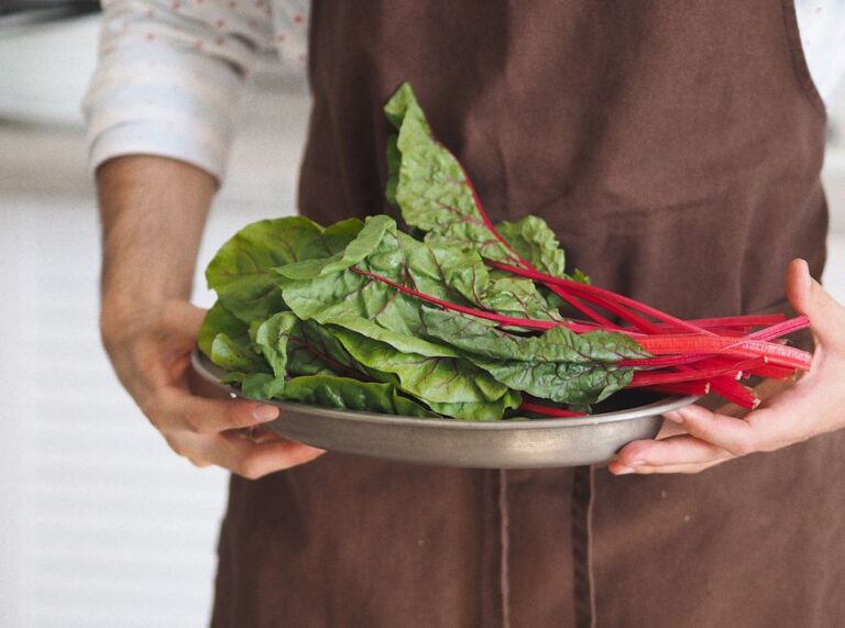 Cara Mudah Masukkan Sayur dalam Menu Harian Anda