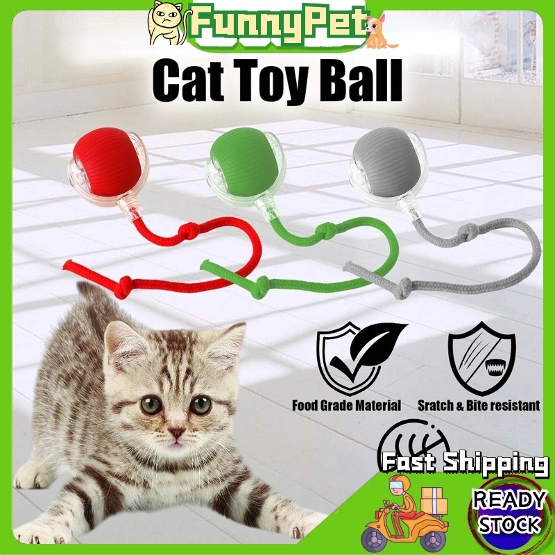 Cat BallPet Intelligent Rolling Ball: Mainan Kucing Automatik yang Perlu Anda Tahu