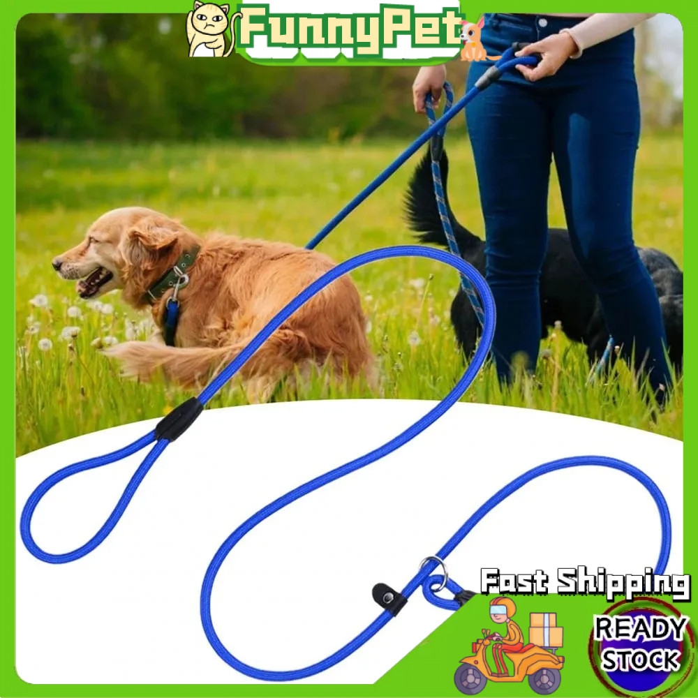 Dog Training Leash P Leash Nylon: Pilihan Tali Kawalan Selesa untuk Anjing Anda