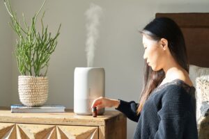 Humidifier Rumah Terbaik: Panduan Memilih dan Model Pilihan untuk Kediaman Anda