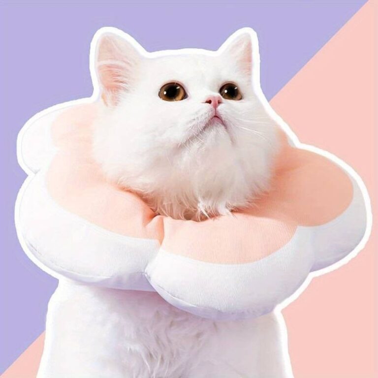 Kucing Soft Cotton Elizabeth Ring E-Collar Anti-Licking Headgear: Adakah Sesuai untuk Haiwan Anda?