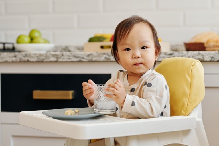 Panduan Memilih Kerusi Makan Bayi yang Berbaloi dan Praktikal