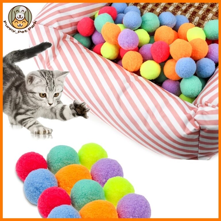 Panduan Memilih Mainan Bola Plush untuk Haiwan Kesayangan yang Aktif