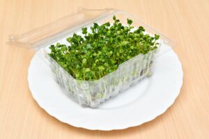 Panduan Mudah Pertumbuhan Benih Sayur di Rumah