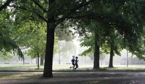 Persediaan Jogging Petang: Panduan Lengkap