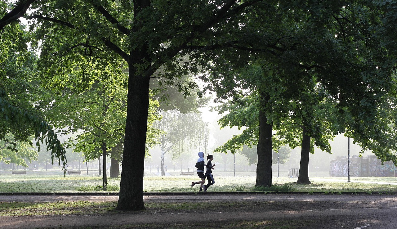 Persediaan Jogging Petang: Panduan Lengkap