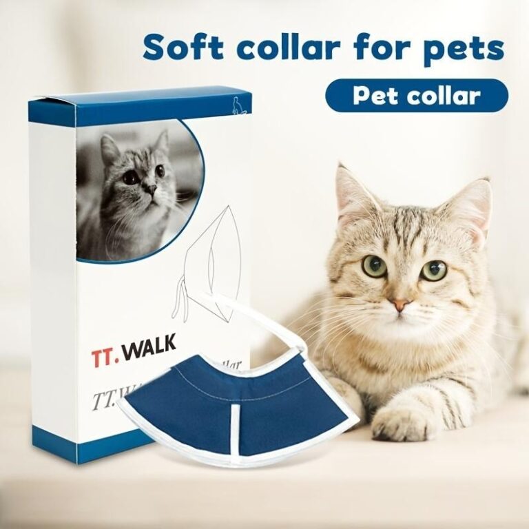 Pet Elizabeth Ring Non Woven Soft Cat Collar: Pilihan Selesa untuk Pemulihan Kucing