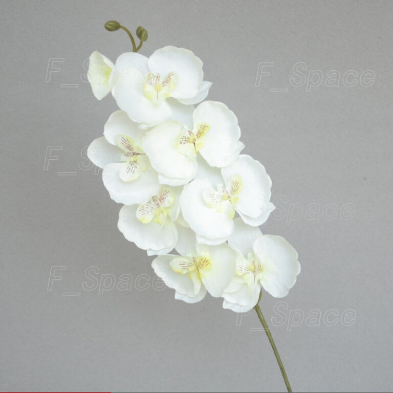 Tips Hiasan Rumah dengan 8 Heads Butterfly Orchid Bouquet
