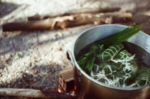 Cara Jaga Pokok Pandan di Rumah dengan Mudah dan Subur