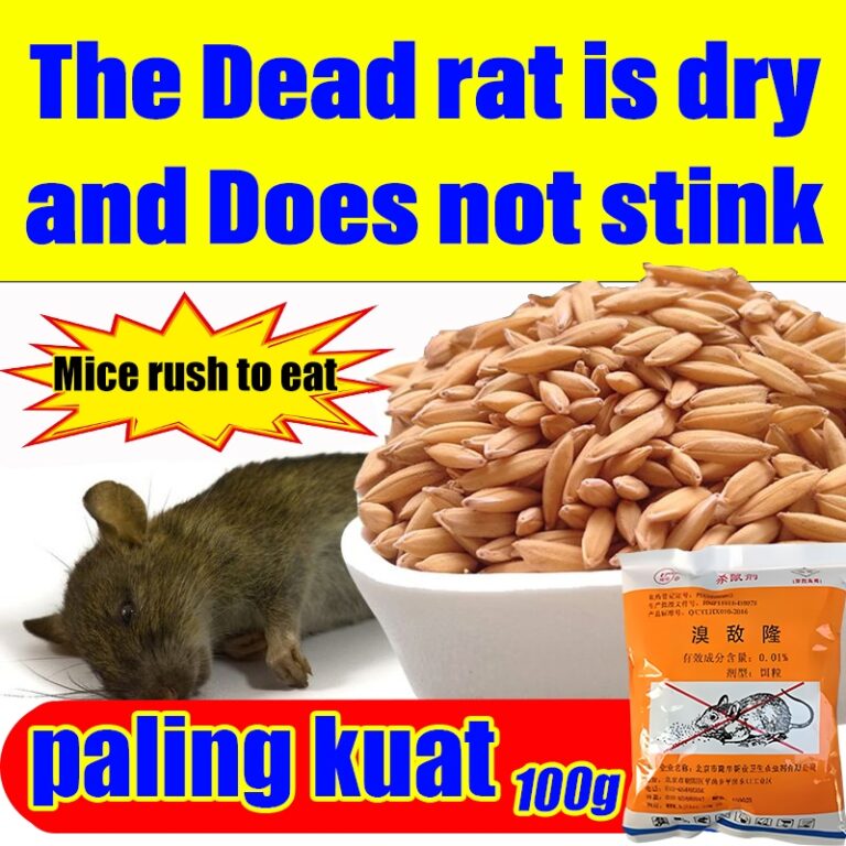 Ubat Tikus Death In 3 Seconds: Apa yang Anda Perlu Tahu