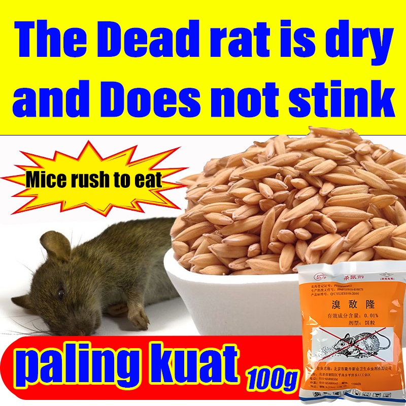 Ubat Tikus Death In 3 Seconds: Apa yang Anda Perlu Tahu