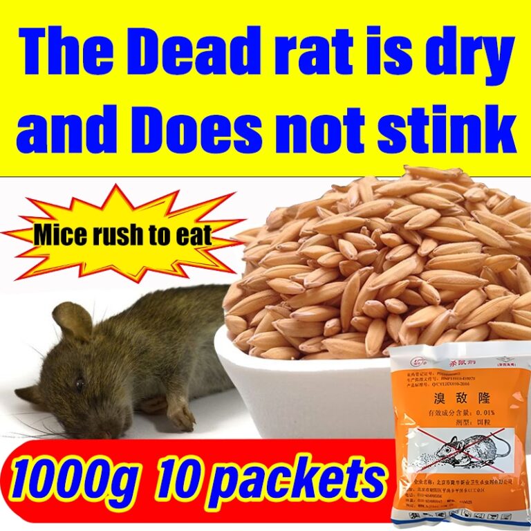 Adakah Ubat Tikus Death In 3 Seconds Berkesan? Ini yang Perlu Anda Tahu