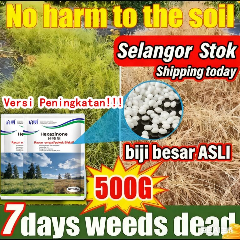 [Free Sarung Tangan+Shipping Today] Racun Ruput 500g Weed Killer Racun Pokok Kayu Besar 5% Hexazinone Tree Killer