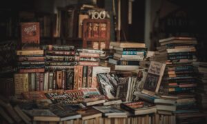 Meneroka Keindahan dan Kepelbagaian Novel Melayu Tempatan
