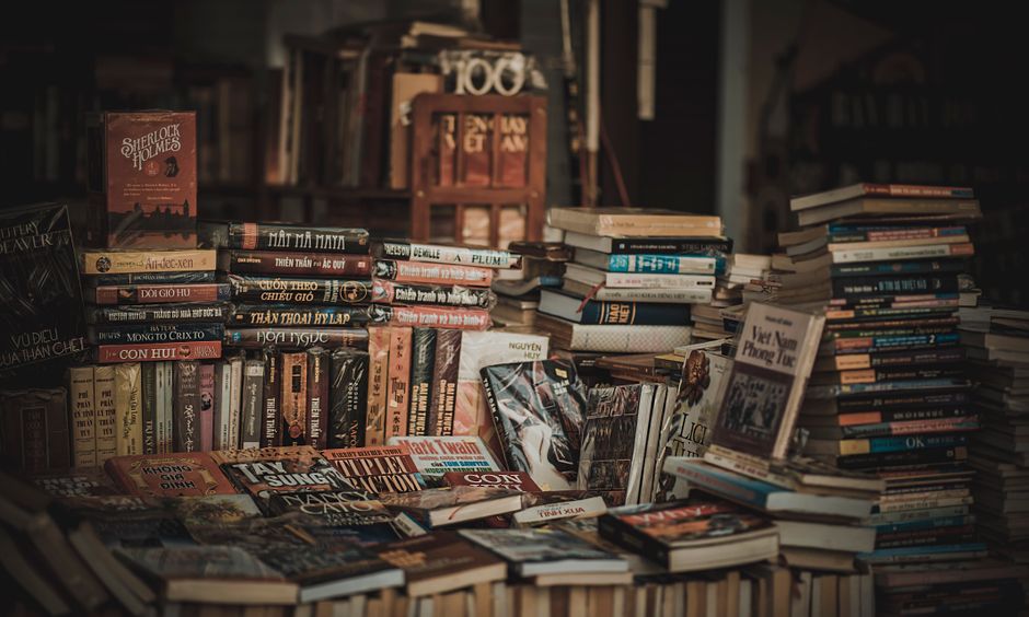 Meneroka Keindahan dan Kepelbagaian Novel Melayu Tempatan