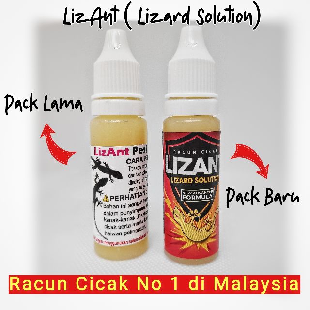Original LIZANT Umpan Kawalan Cicak 15g: Cara Guna dan Panduan Kawalan
