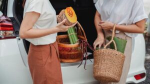 Penyusun Boot Kereta: Cara Pilih dan Kekalkan Ruang Kemas