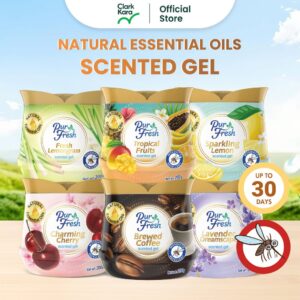 Purfresh 200g Natural Mosquito Repellent Scented Gel untuk Kereta dan Kediaman