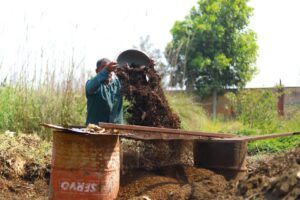 Tanah Kompos Organik: Panduan Praktikal untuk Kebun Rumah