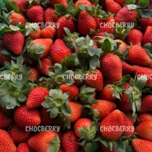 CAMERON HIGHLANDS FRESH Strawberry 500Gm: Apa yang Anda Perlu Tahu