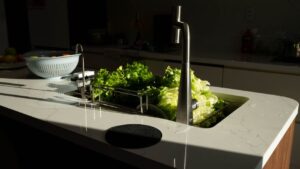 Cara Simpan Sayur Sawi supaya Segar Lebih Lama dan Tidak Cepat Kuning