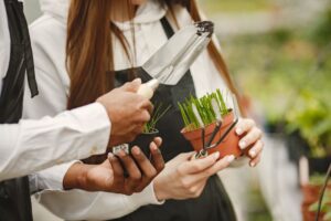 GARDENA Malaysia: Panduan Memilih Peralatan Berkebun Berkualiti untuk Kediaman