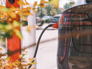 Panduan Asas Pemilikan dan Penyelenggaraan Tesla Malaysia