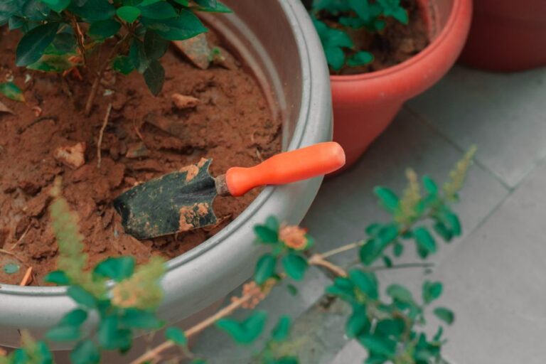 Panduan Memilih Produk BABA Gardening Malaysia untuk Kebun Rumah