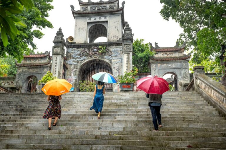 Payung Lipat Kalis Angin: Ciri Ketahanan yang Perlu Anda Semak