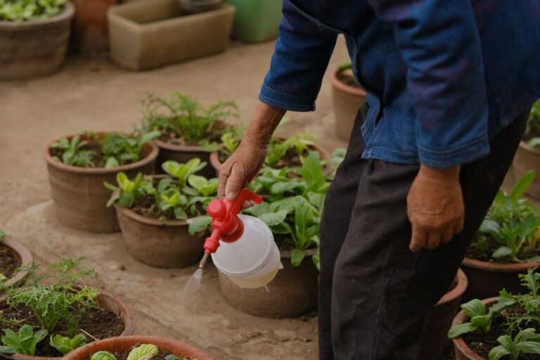 AutoPot Malaysia: Panduan Sistem Watering Automatik Tanpa Elektrik untuk Kebun Rumah