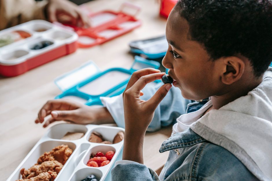 Bekalan Makanan Seimbang untuk Anak: Panduan Menyediakan Bekas Sihat dan Menarik