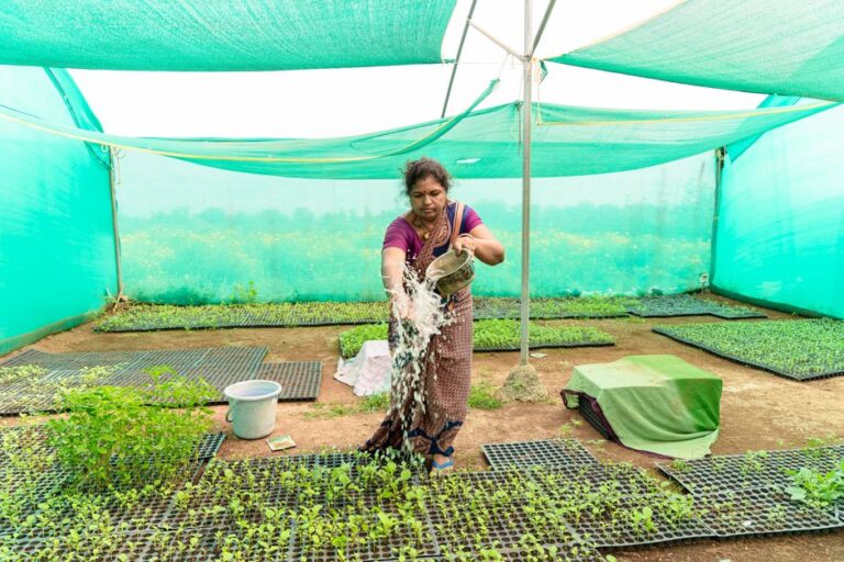 Cara Pilih dan Gunakan Jaring Teduhan Kebun untuk Tanaman Rumah