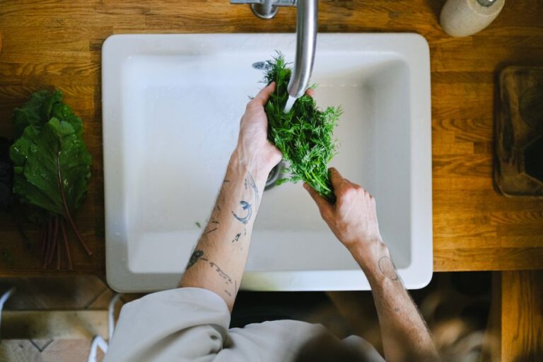 Kesan Mengambil Sayur Harian Terhadap Proses Penghadaman dan Kesihatan Usus
