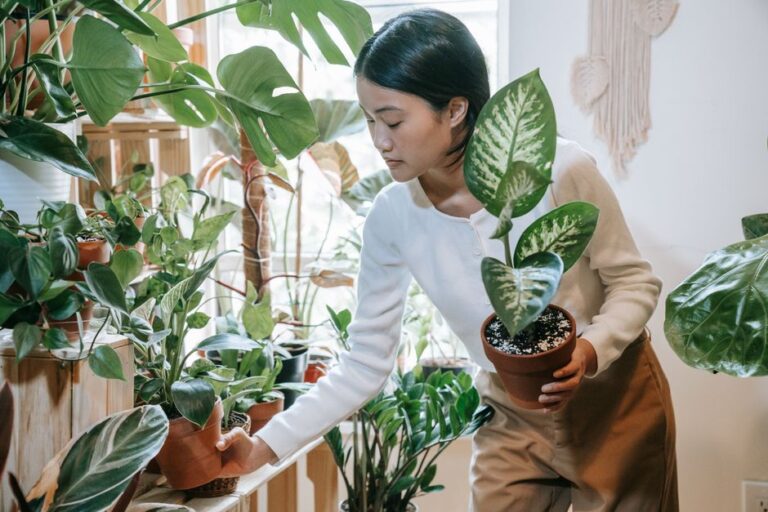 Mengenali AgroBuddy Malaysia dan Cara Membantu Pekebun Bandar