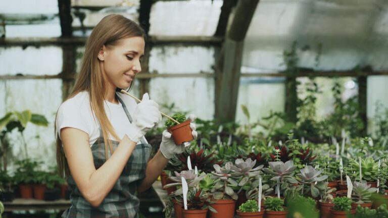 Panduan Memilih dan Menguruskan Floristika Malaysia untuk Hiasan Kediaman