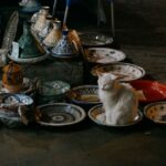 Panduan Praktikal Memilih Bekas Air Minum Kucing yang Selamat dan Sesuai