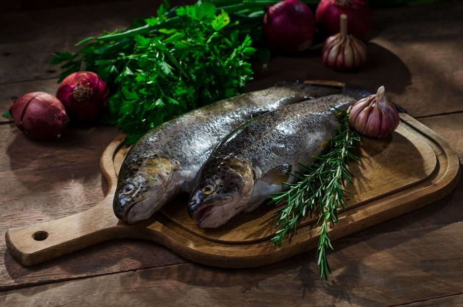 Tips Simpan Ikan Segar di Rumah supaya Kualiti Terjamin